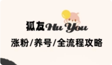 狐友无限关注自动挂机-泪霖创业网