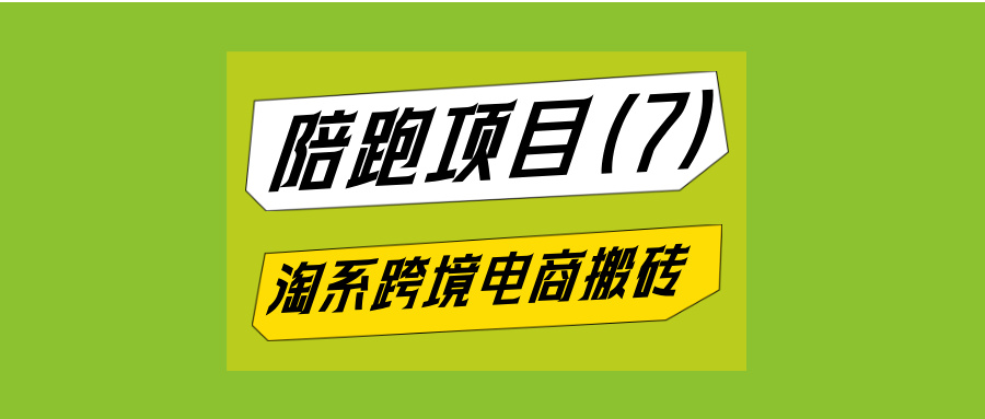 淘系跨境电脑挂机搬砖项目，24小时全自动采集无需人工-泪霖创业网