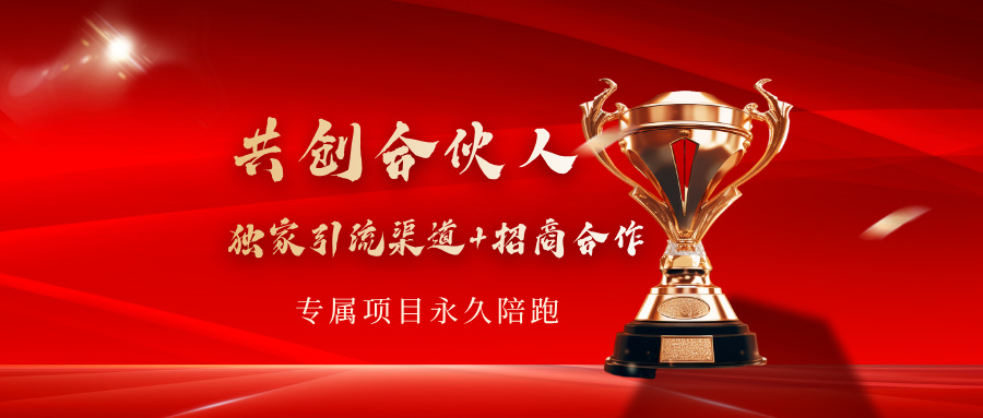 IP共创合伙人，独家引流渠道+招商合作，专属项目永久陪跑-泪霖创业网-网赚项目-网创项目网