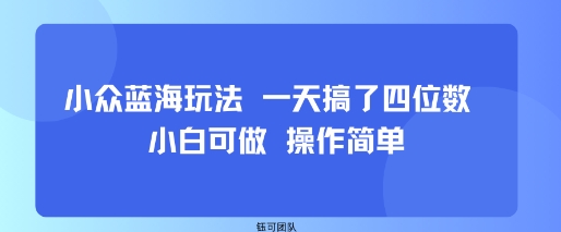 小众蓝海玩法 一天搞了四位数 小白可做 操作简单-网创资源地