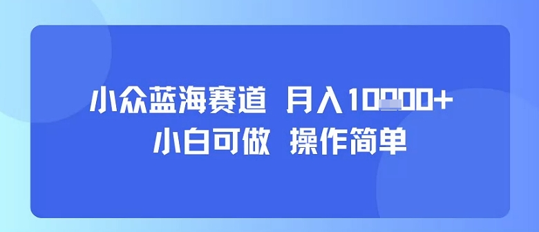 小众蓝海赛道，小白可做，操作简单，每天30分钟，月入1W+-网创资源地