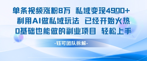 单条视频私域变现4.9k+利用AI做私域玩法 已经开始火热0基础也能做的副业项目轻松上手-网创资源地