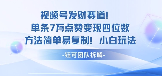 视频号发财赛道单条7W点赞变现四位数方法简单易复制小白玩法-网创资源地