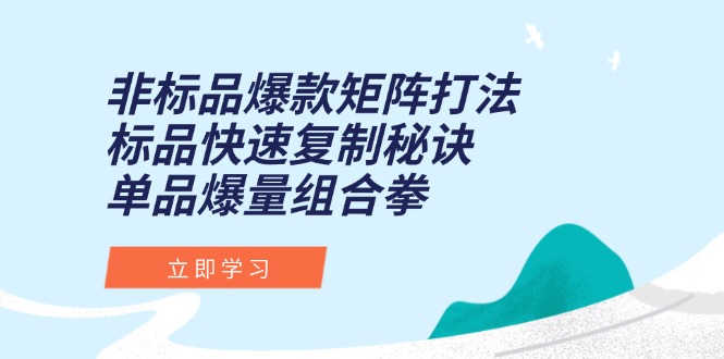 非标品爆款矩阵打法,标品快速复制秘诀,单品爆量组合拳-网创资源地