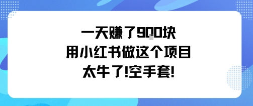 一天挣了9张用小红书做这个项目太牛了，空手套-网创资源地