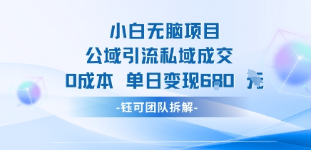 小白无脑项目公域引流私域成交0成本单日变现680米-网创资源地