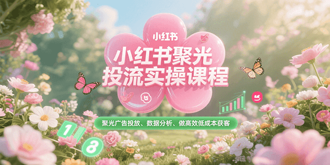 小红书聚光投流实操课程，聚光广告投放、数据分析、做高效低成本获客-网创资源地