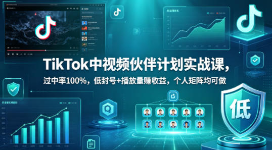 TikTok中视频伙伴计划实战课,过中率100%,低封号+播放量賺收益,个人矩阵均可做-网创资源地
