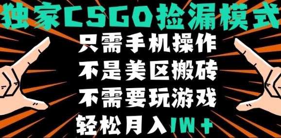 CSGO自动捡漏项目,最新独家玩法,不是美区搬砖,不需要了解和玩游戏,新手小白轻松月入1W+【揭秘】-网创资源地