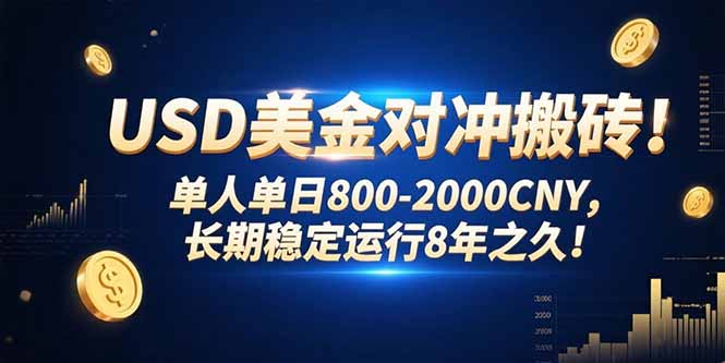 USD美金对冲搬砖!单人单日800-2000CNY，长期稳定运行8年之久!-网创资源地