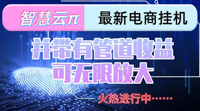 智慧云π电脑挂机单机每天收益300—500+ 并带有团队管道收益 可无限放大-网创资源地
