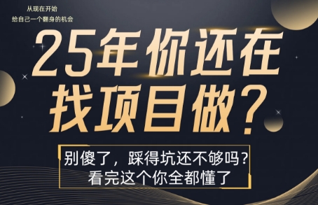 25年,你还在疯狂的找项目吗?别傻了,看完这个你都懂了【揭秘】-网创资源地