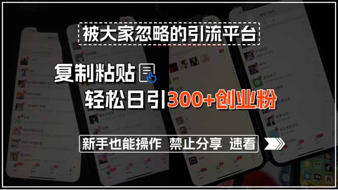 被大家忽略的引流平台,复制粘贴轻松日引300+创业粉,新手也能操作,禁…-网创资源地