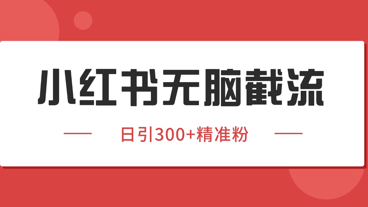 小红书截流同行客源,独家野路子获客玩法 日引200+暴力获客-网创资源地