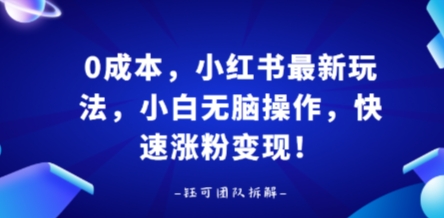 0成本,小红书最新玩法,小白无脑操作,快速涨粉变现-网创资源地