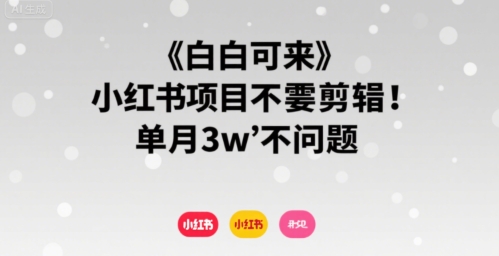 小白可来 小红书项目不需要剪辑 单月3w不是问题-网创资源地