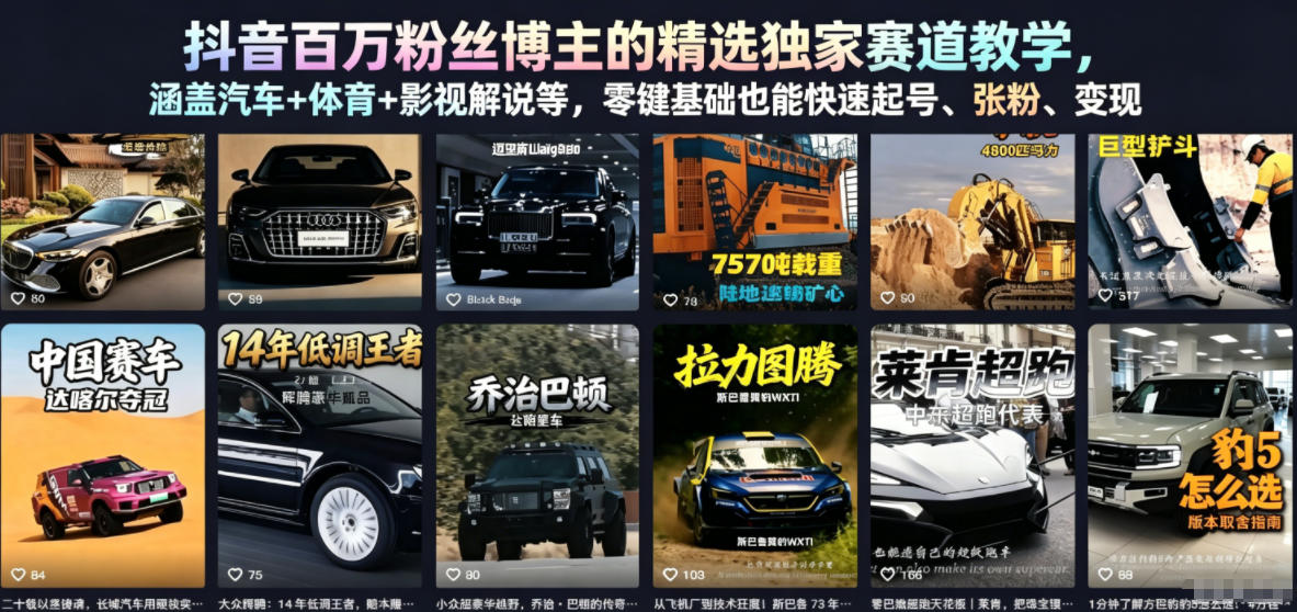 抖音百万粉丝博主的精选独家赛道教学，涵盖汽车+体育+影视解说等，零基础也能快速起号、涨粉、变现-网创资源地
