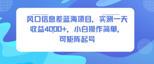 风口信息差蓝海项目，实测一天收益4k+，小白操作简单，可矩阵起号-网创资源地