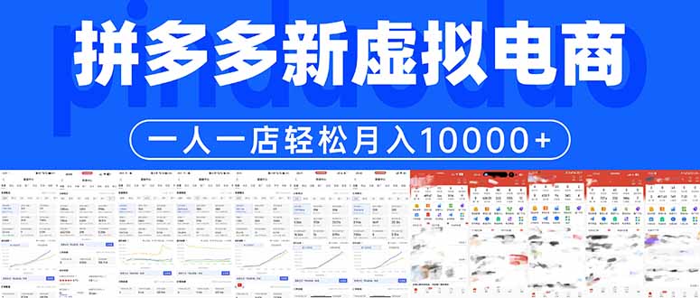 拼多多虚拟电商一人一店轻松月入10000+-网创资源地