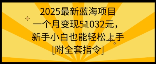 2025最新蓝海项目一个月变现1w+新手小白也能轻松上手【附全套指令】-网创资源地