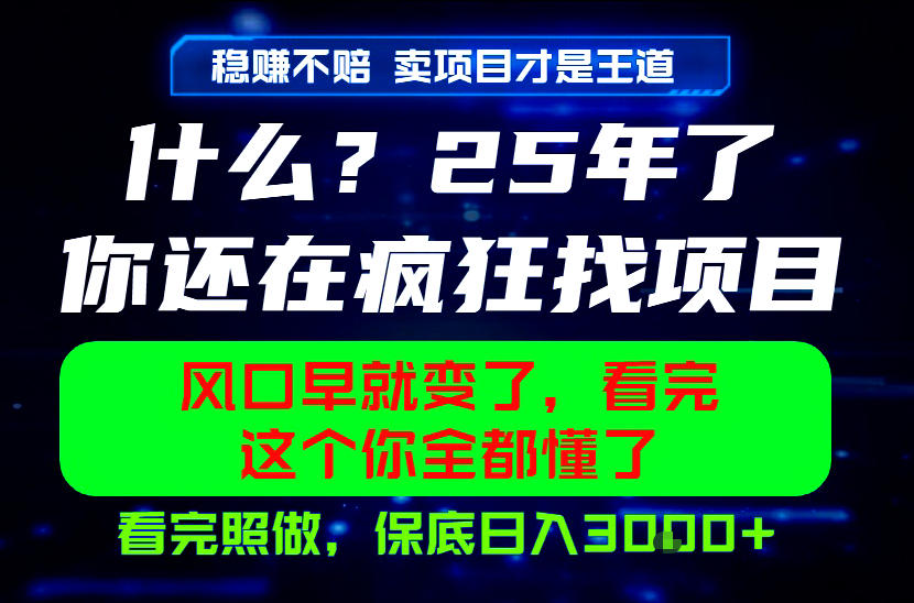 26年,请不要疯狂的找项目做了!卖项目才是真的稳賺不赔,看完照做,保底日入1k+【揭秘】-网创资源地