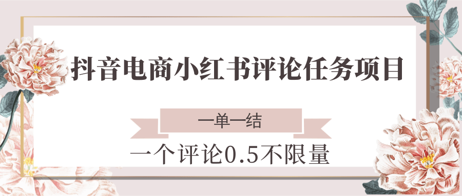 抖音电商小红书评论任务项目，一个评论0.5，一单一结 不限量-网创资源地