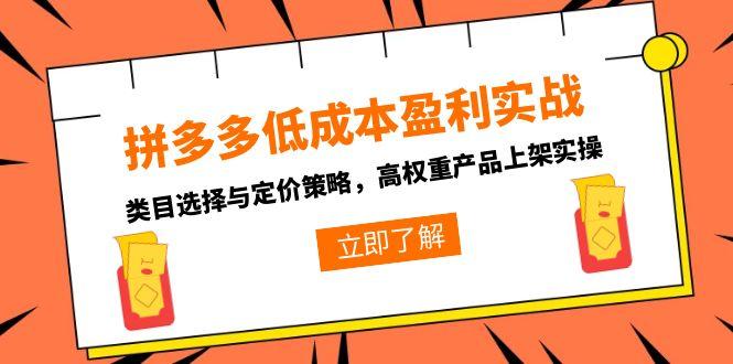 拼多多低成本盈利实战,类目选择与定价策略,高权重产品上架实操-网创资源地