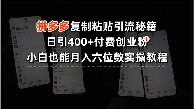 拼多多复制粘贴引流秘籍,日引400+付费创业粉,小白也能月入六位数实操…-网创资源地