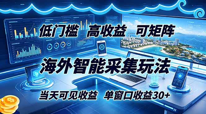 海外智能采集玩法,低门槛高单价可矩阵,当天可见收益,单窗口30+-网创资源地