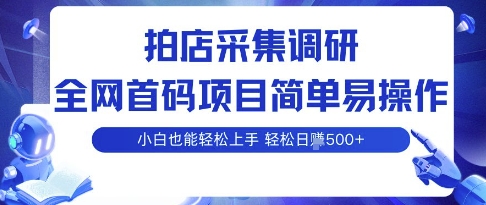 拍店采集调研，全网首码项目，简单易操作， 小白也能轻松上手，多账号操作，轻松日入5张【揭秘】-网创资源地
