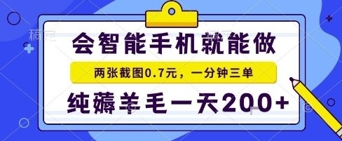 手机项目,二十秒一单,纯薅羊毛一天2张+做就有【揭秘】-网创资源地