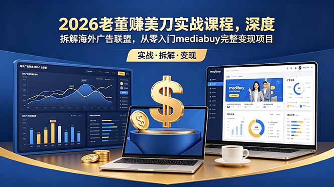 2026老董赚美刀实战课程,深度拆解海外广告联盟,从零入门mediabuy完整变现项目-网创资源地