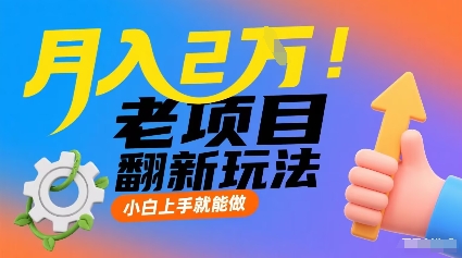 月入2W！老项目翻新玩法，小白上手就能做，非常容易上手-网创资源地