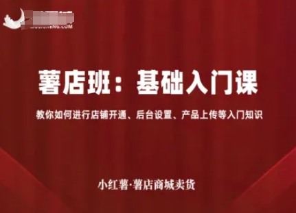 小红薯薯店商城卖货,基础入门课,教你如何进行店铺开通、后台设置、产品上传等入门知识-网创资源地