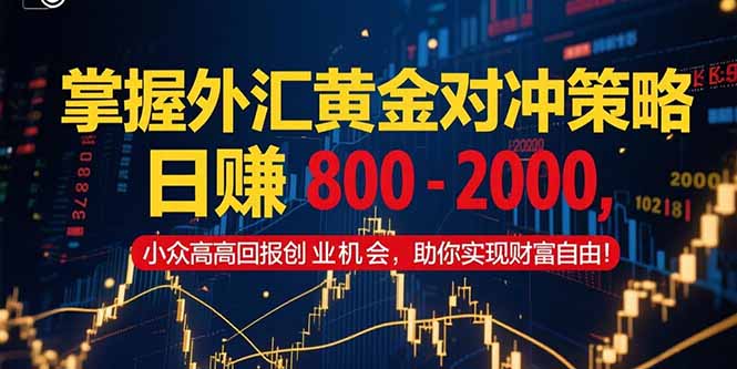 掌握外汇黄金对冲策略,日赚 800 – 2000,小众高回报创业机会,助你实…-网创资源地