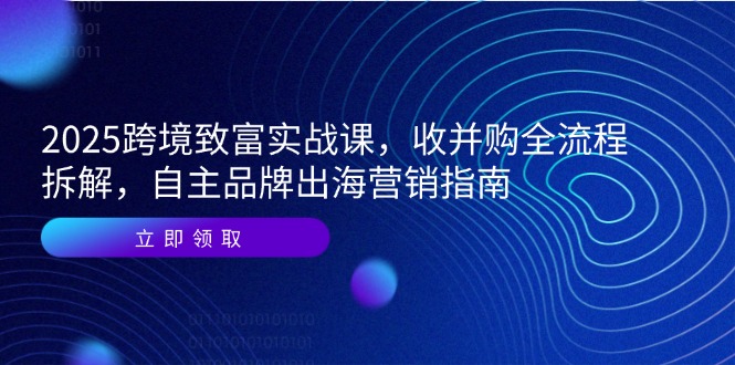 2025跨境致富实战课,收并购全流程拆解,自主品牌出海营销指南-网创资源地
