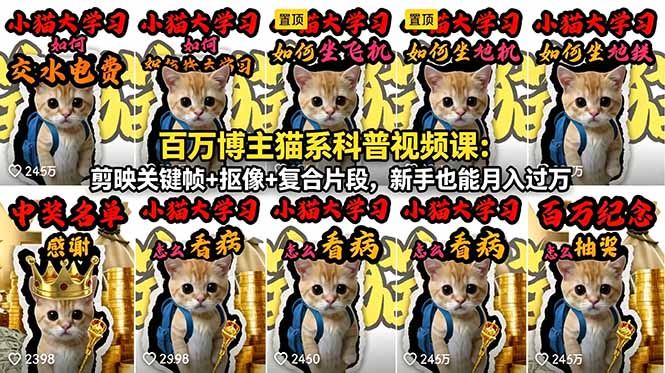 百万博主猫系科普视频课:剪映关键帧+抠像+复合片段,新手也能月入过万-网创资源地