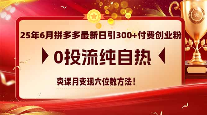 25年6月拼多多最新日引300+付费创业粉,0投流纯自热 卖课月变现六位数方法-网创资源地