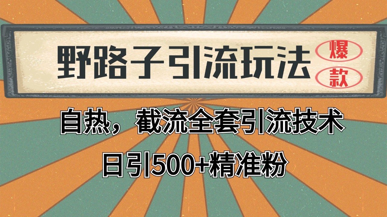 2024首发野路子引流玩法截流自热全平台打法，全自动引流【日引2000+精准客户】-网创资源地