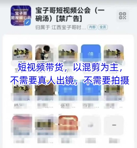 宝子哥头部团队短视频带货,以混剪为主,不需要真人出镜,不需要拍摄【更新9月】-网创资源地