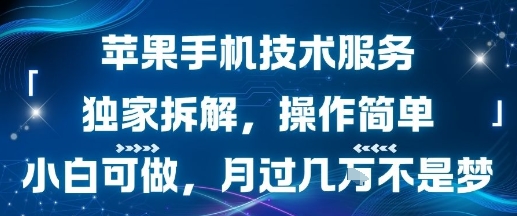 苹果手机技术服务,独家拆解,操作简单,小白可做,月过1W不是梦-网创资源地