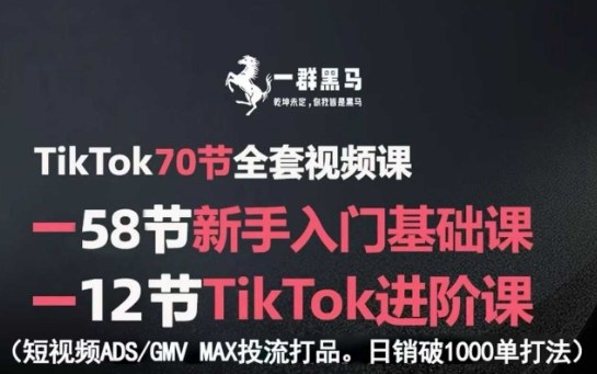 TikTok全套视频课,新手入门+进阶课,短视频ADS-GMV MAX投流打品,日销破1000单打法-网创资源地