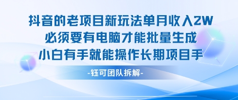老项目新玩法单月收入2W小白有手就能操作长期项目-网创资源地