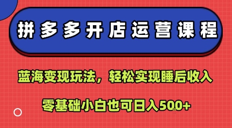 拼多多开店运营课程:蓝海变现玩法,轻松实现睡后收入,零基础小白也可日入5张-网创资源地