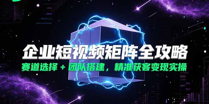 企业短视频矩阵全攻略,赛道选择+团队搭建,精准获客变现实操-网创资源地