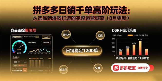 拼多多日销千单高阶玩法:从选品到爆款打造的完整运营链路(8月更新-网创资源地